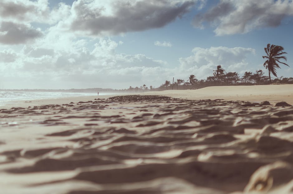 Brazília északi partvidéke: Rejtett strandparadicsomok