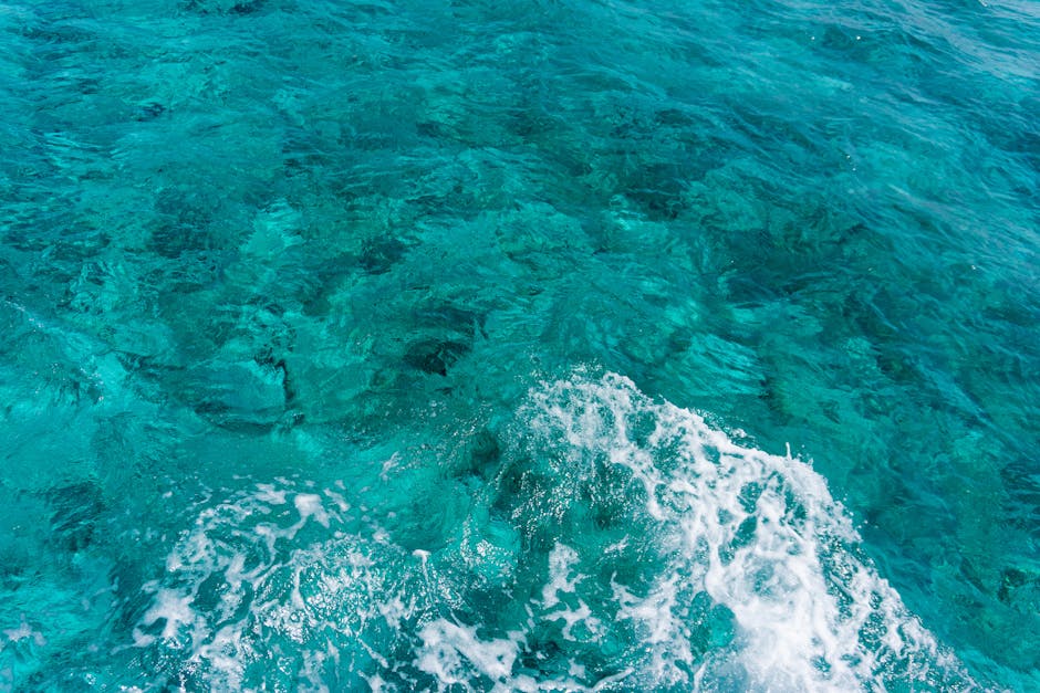 Los Roques: Korallzátonyok és vízi sportok