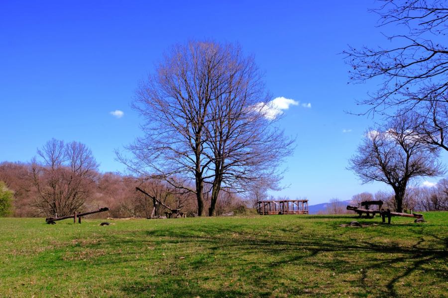 Mogyoróhegy: A visegrádi családi paradicsom, ahol az őzek majdnem a tenyeredből esznek Mogyoróhegy: A visegrádi családi paradicsom, ahol az őzek majdnem a tenyeredből esznek